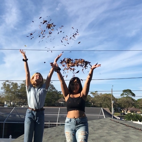 Meet your Posher, Bianca - Picture 1 of 1